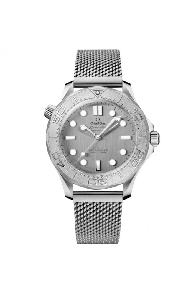 OMEGA  Seamaster Diver 300m O21030422006002